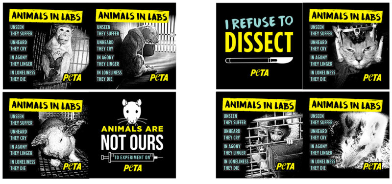 PETA Vivisection Stickers