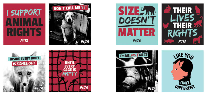 Animal Rights Stickers