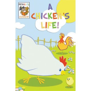 a chickens life