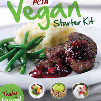 peta vegan starter kit