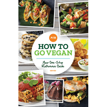 How to Go Vegan