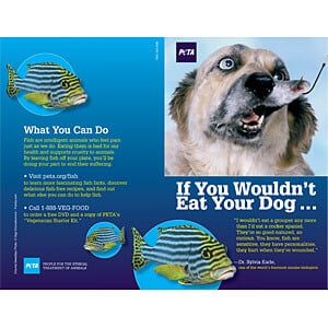 if you wouldnt eat your dog