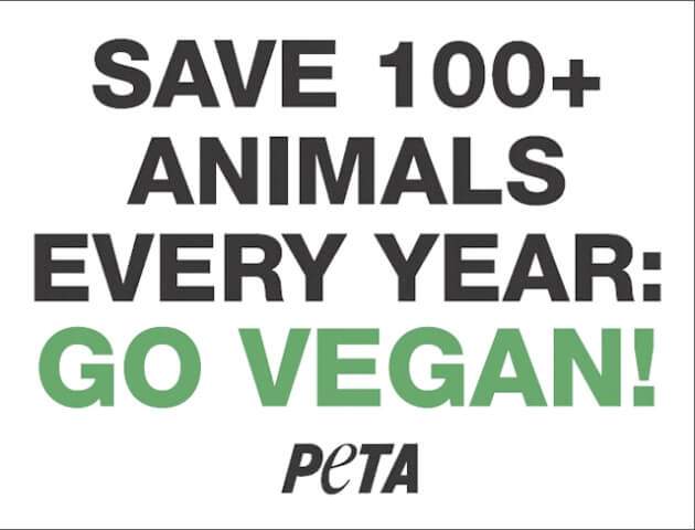 Seve 100+ animals every year - go vegan