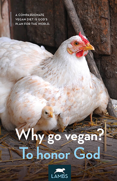 Why Go Vegan