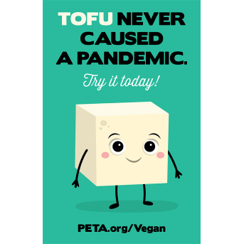 Tofu Never Caused a Pandemic