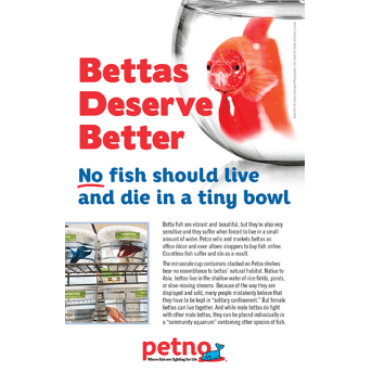 Bettas Deserve Better