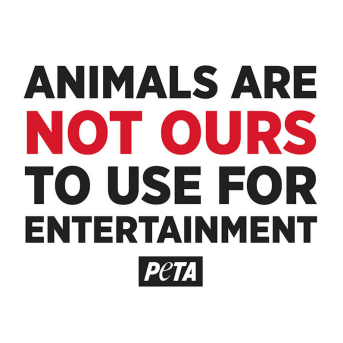 Animals Are Not Ours To Use For Entertainment