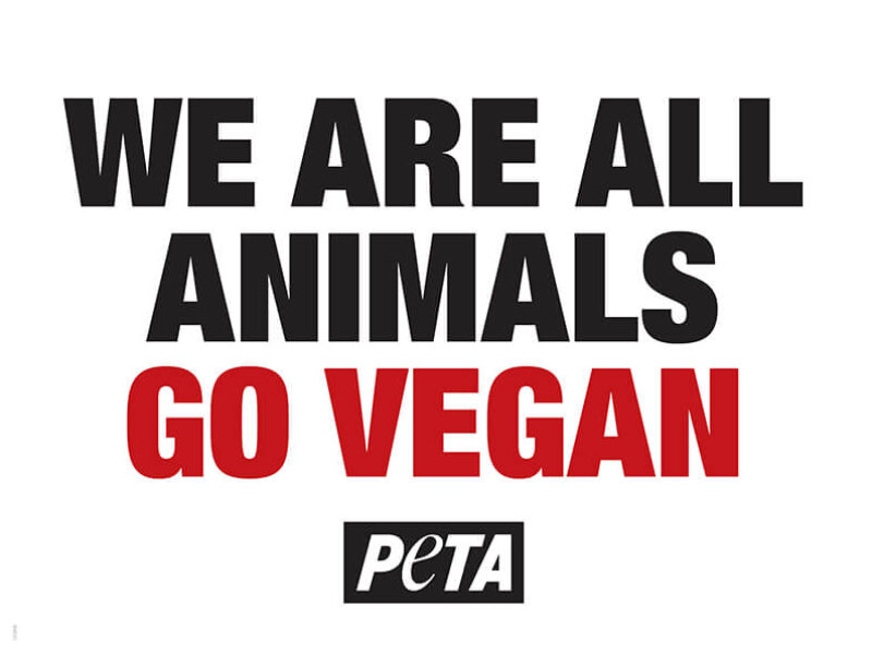 We Are All Animals - Go Vegan