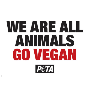 We Are All Animals - Go Vegan
