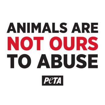 animals aren't our to abuse