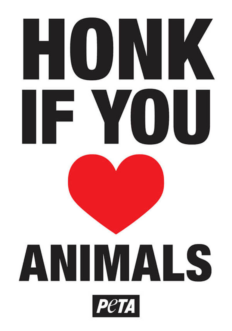 Honk if You Heart Animals