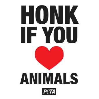 Honk if You Heart Animals