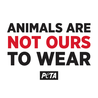 Animals are Not Ours to Wear