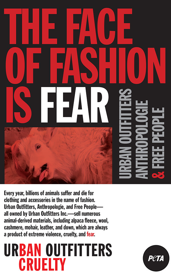 The Face of Fashion is Fear