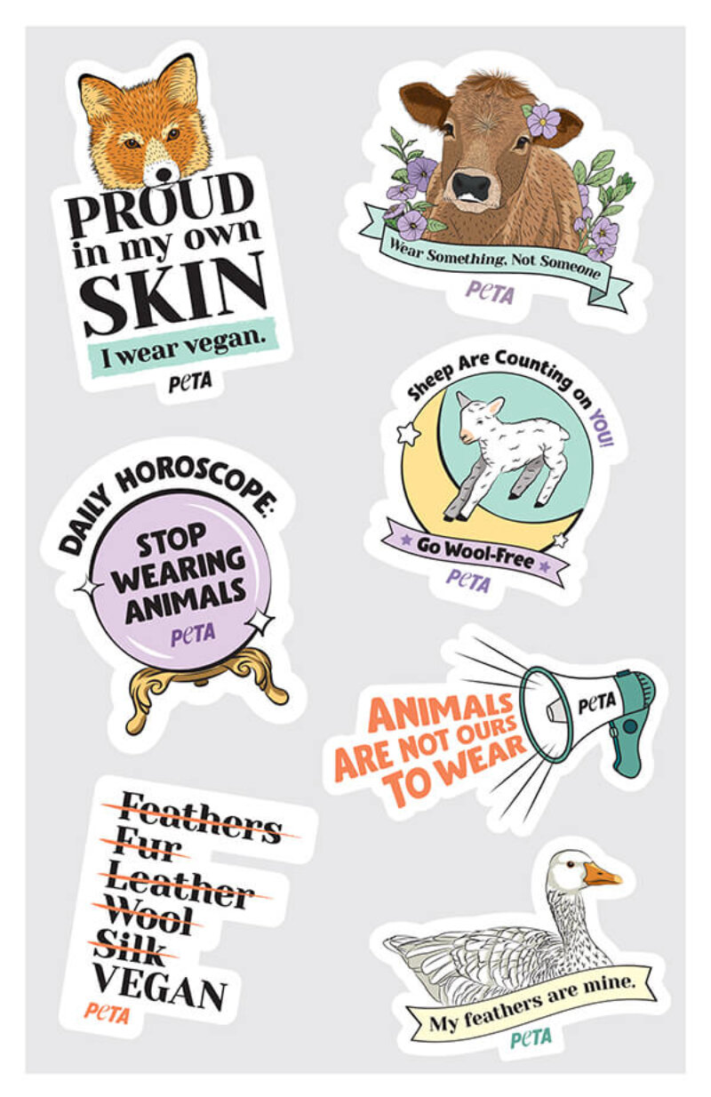 Anti Animal Skins
