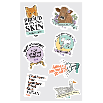 Anti Animal Skins