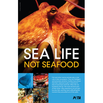 sea life not seafood