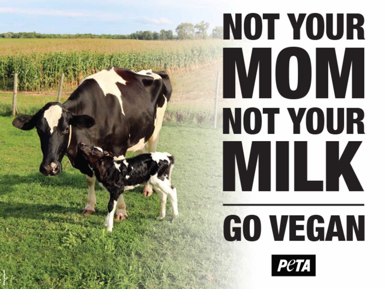 Not Your Mom Not Your Milk Demo Poster | PETA Literature