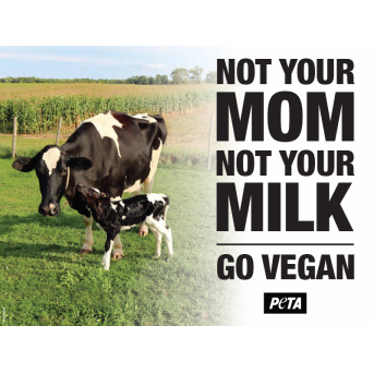 Ditch Dairy