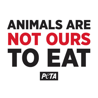 animals are not ours to eat
