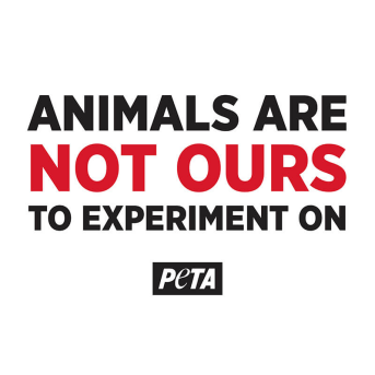 animals are not ours to experiment on