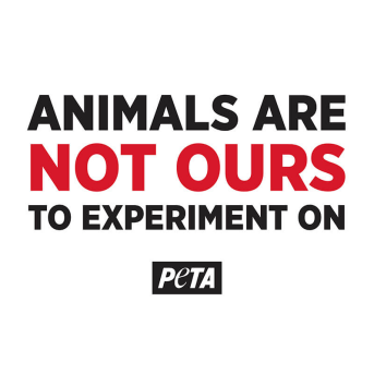 animals are not ours to experiment on