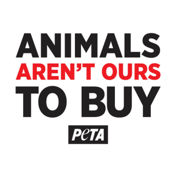 Animals Aren't Ours to Buy