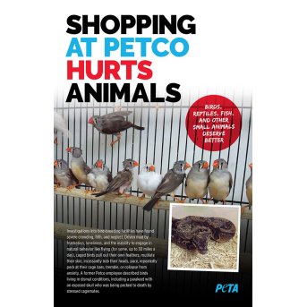 petco hurts animals