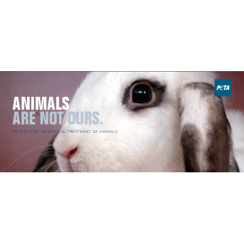 animals are not ours