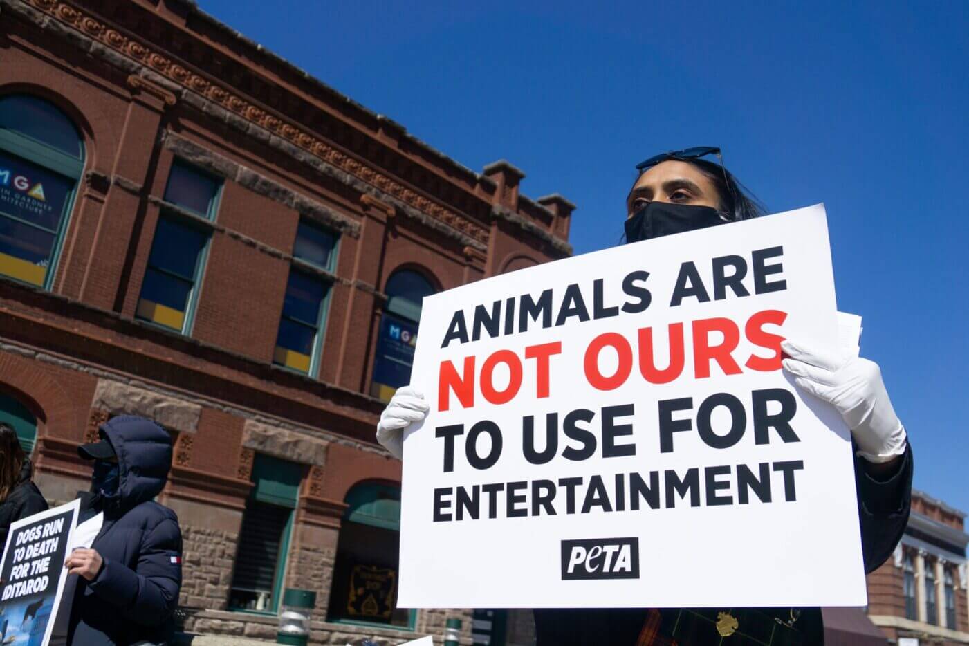 peta demonstrator holding sign