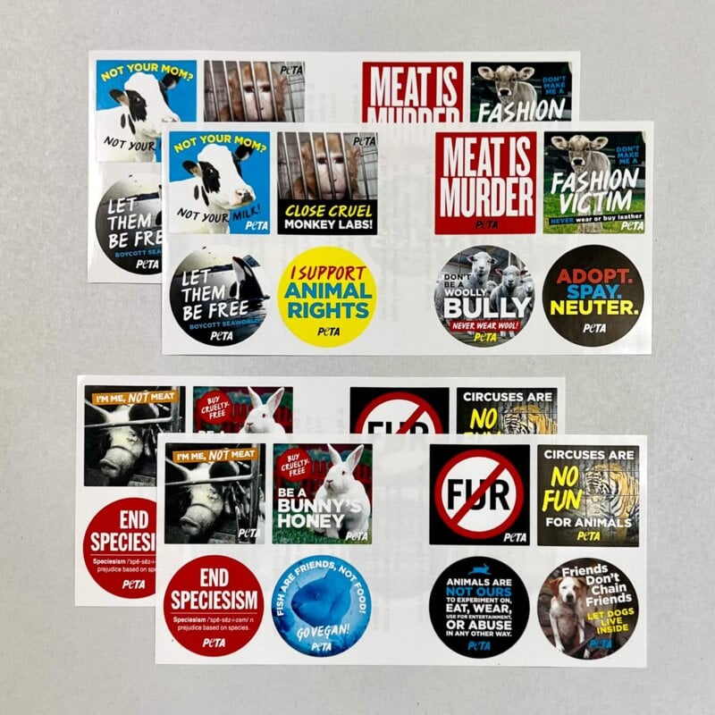 Animal Rights stickers