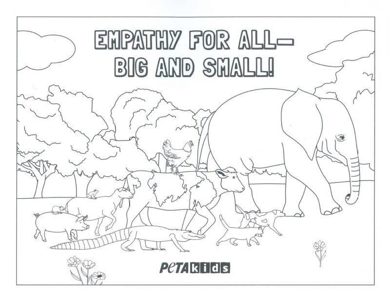 Empathy for all - big and small