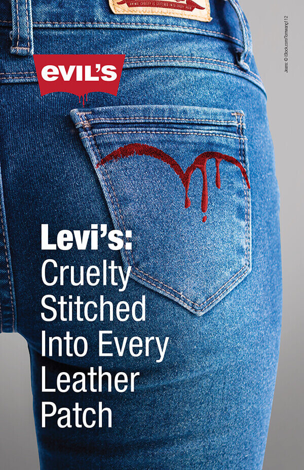 Levi's Leather Leaflet