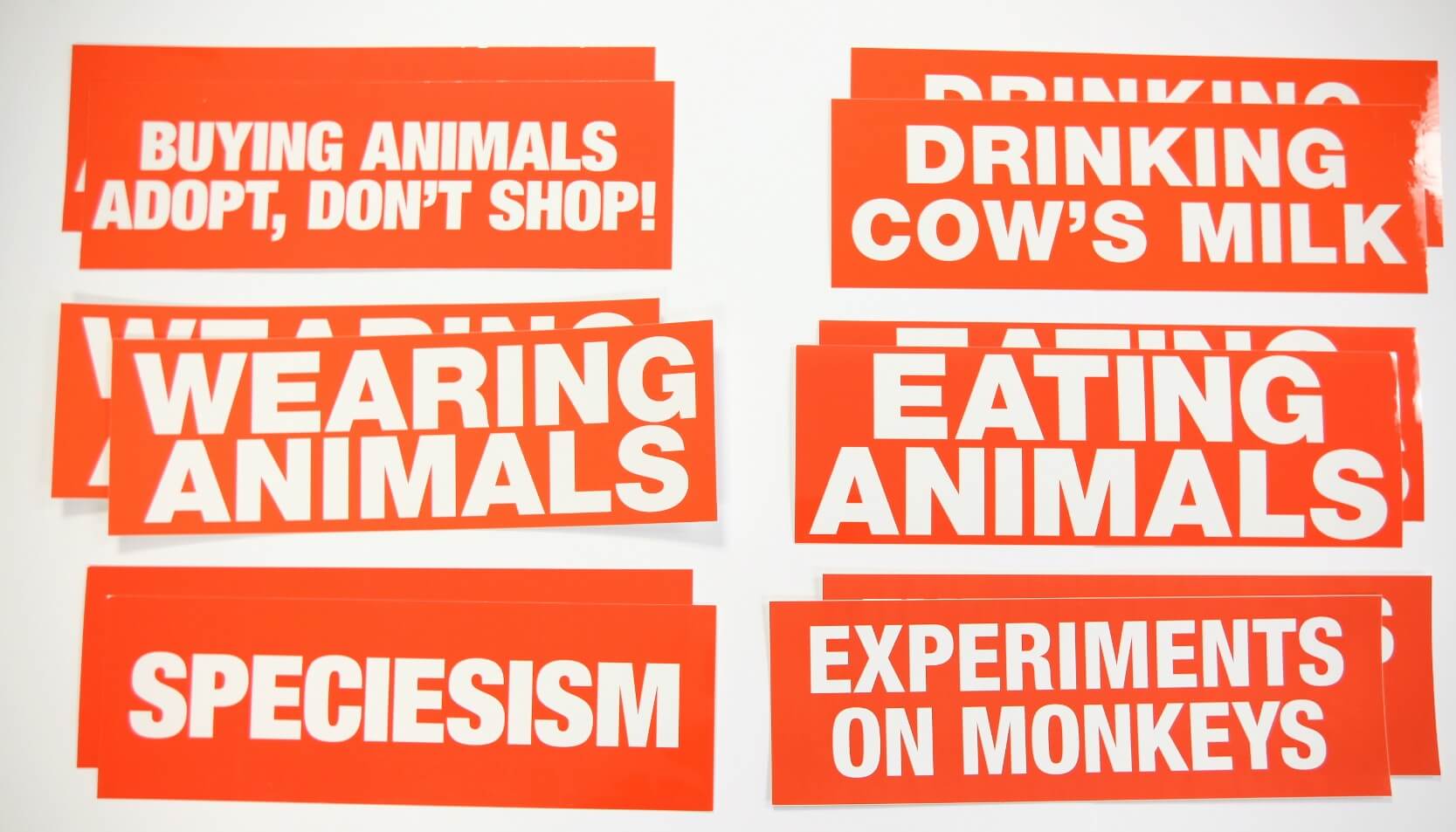 Paint The Town Red PETA Literature