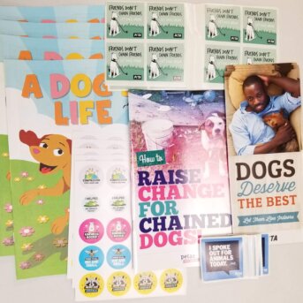 Classroom Fundraiser Pack contents