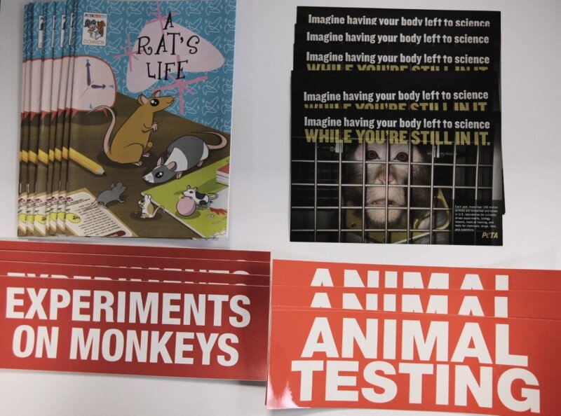 End Animal Experiements
