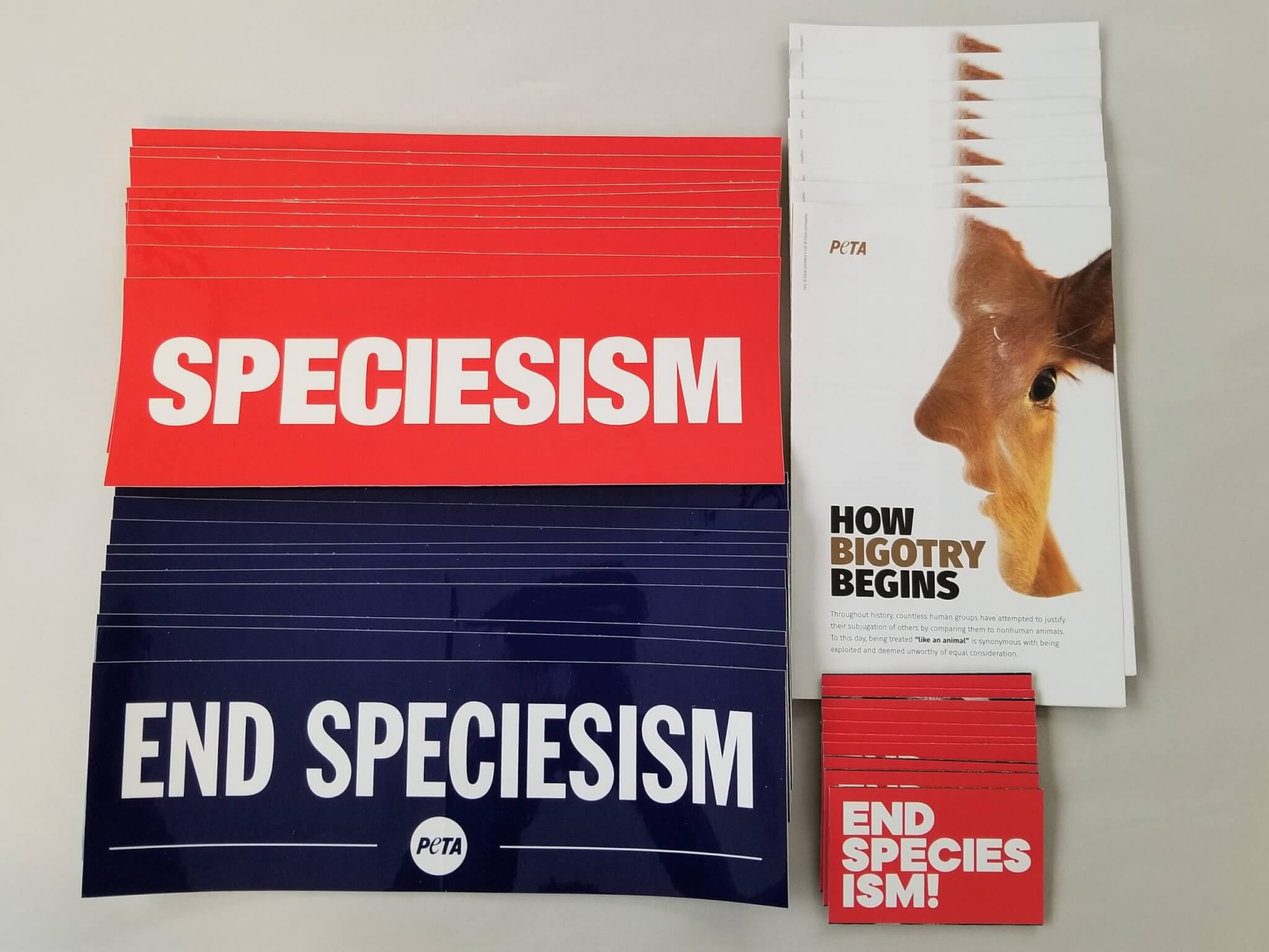 World Day For The End of Speciesism Pack