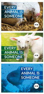 Every Animal Is Someone Sticker
