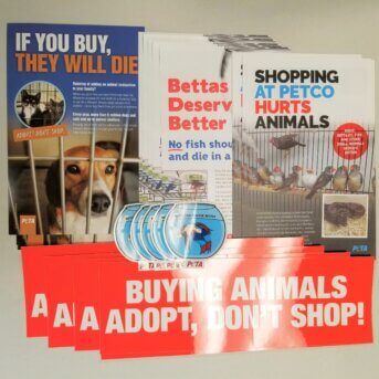 Adopt Dont Shop contents
