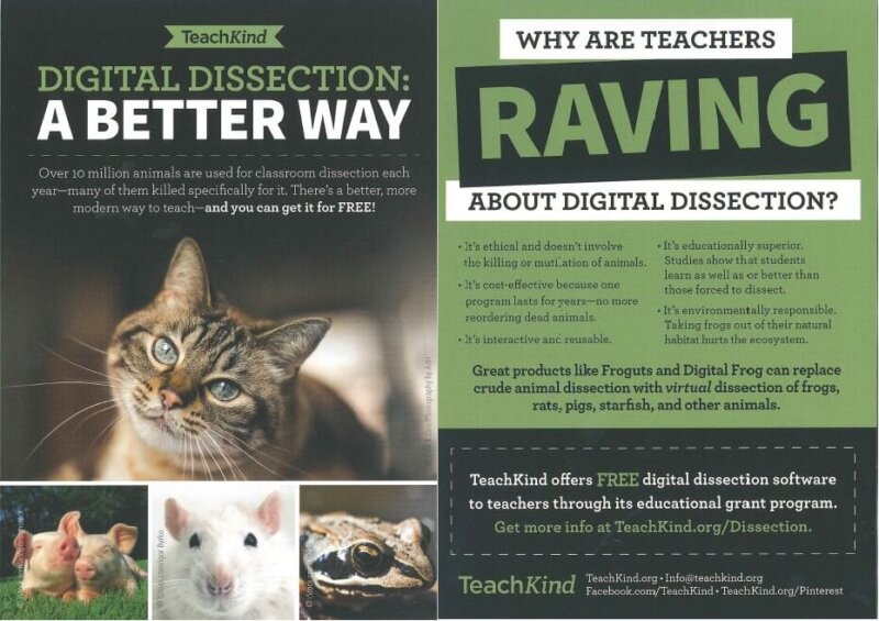 Dissection postcard