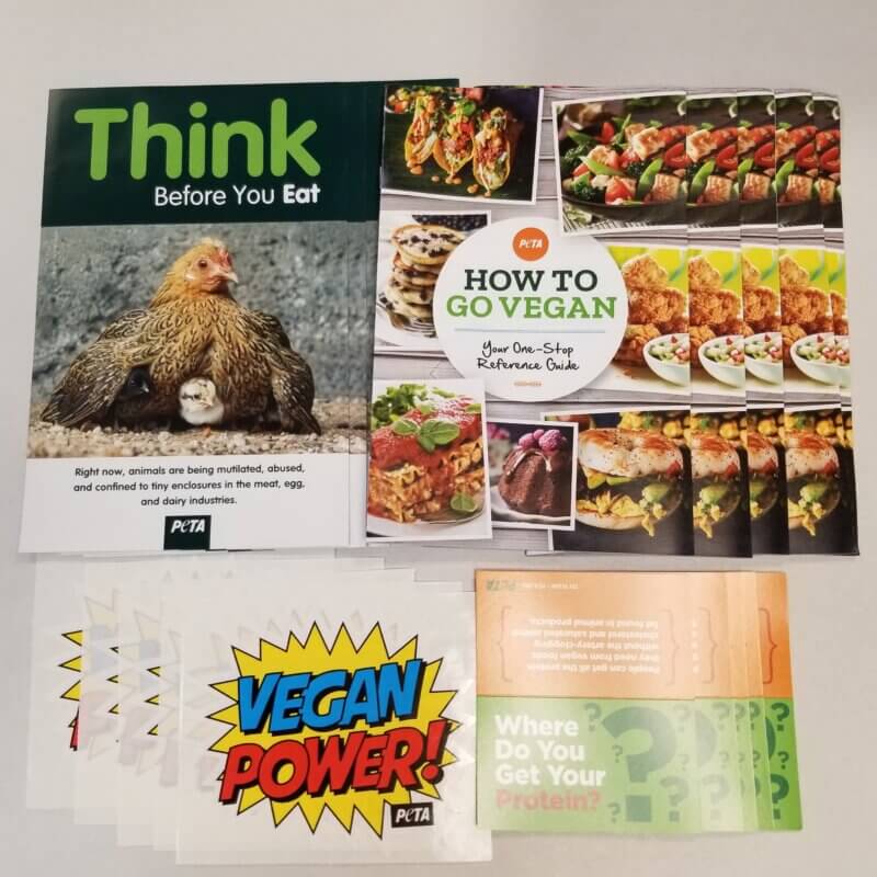 Vegan Power Pack Contents