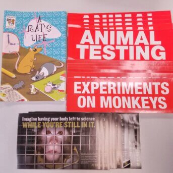 Animal Experiements