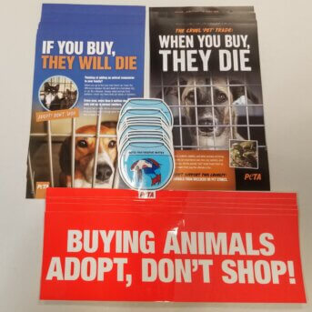 Pet Shop Activism