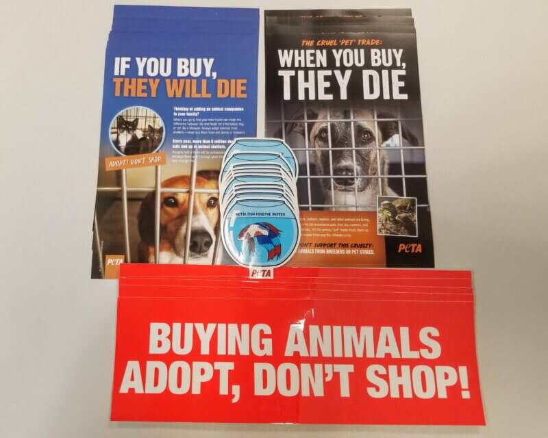 Pet Shop Activism
