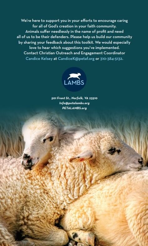 Back view of PETA LAMBS Creation Care Toolkit of Booklet