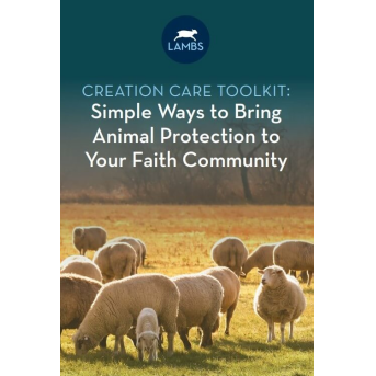 Front Page of PETA LAMBS Creation Care Toolkit