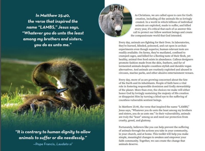 2nd page of PETA LAMBS Creation Care Toolkit
