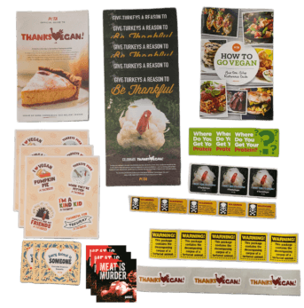 Vegan Holiday Survival Kit