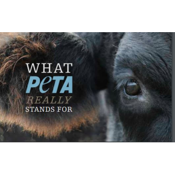 What PETA Really Stands For