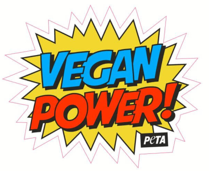 Vegan Power Sticker